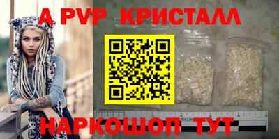 прущие грибы Камышлов