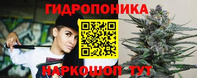 прущие грибы Камышлов