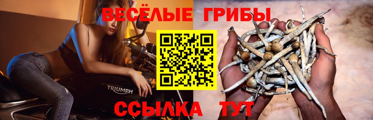 Галлюциногенные грибы ЛСД Кудрово